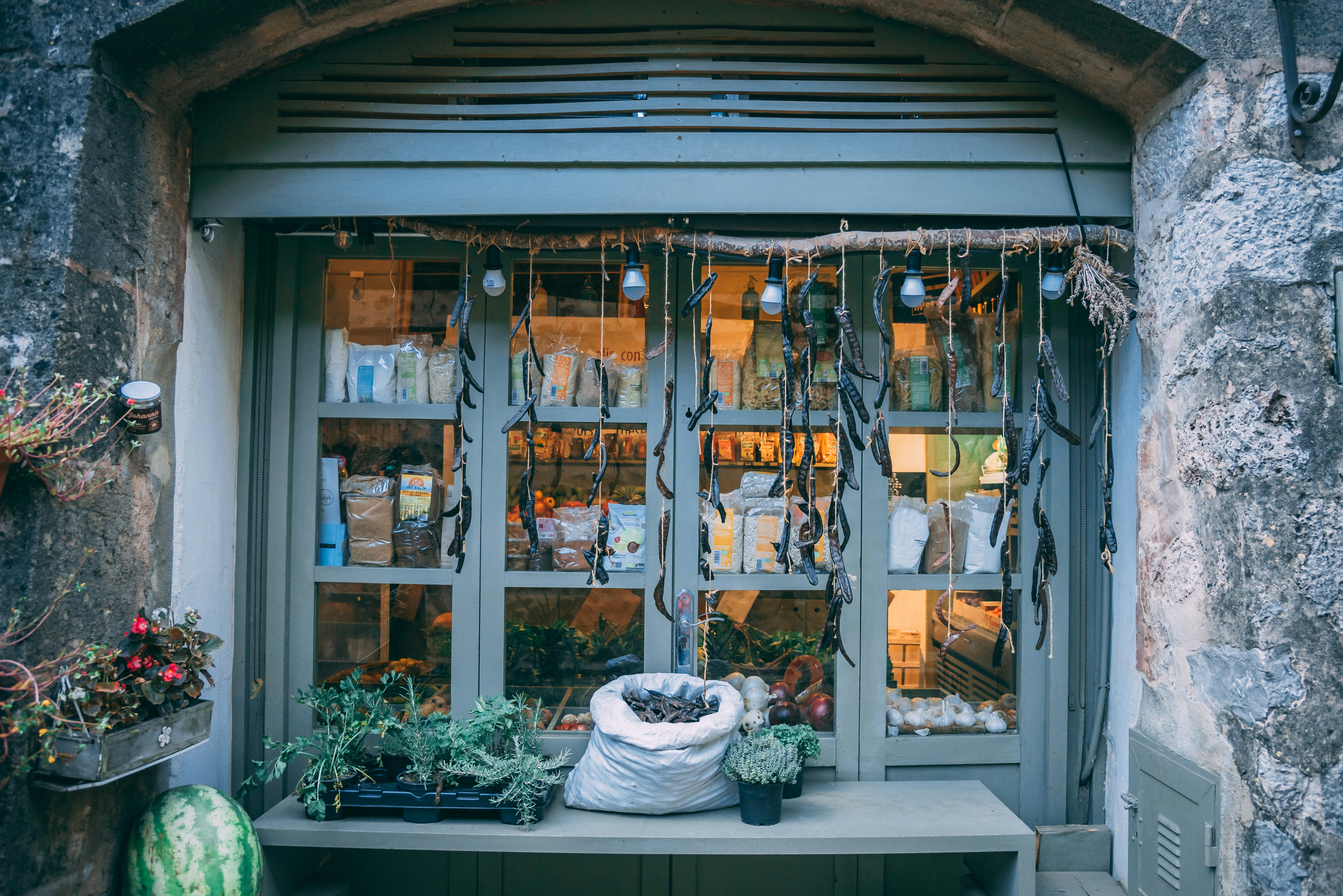 green potted plant on white wooden shelf